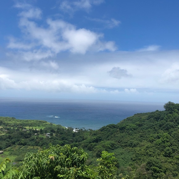 Meet your Posher, Red Palms - Picture 1 of 1